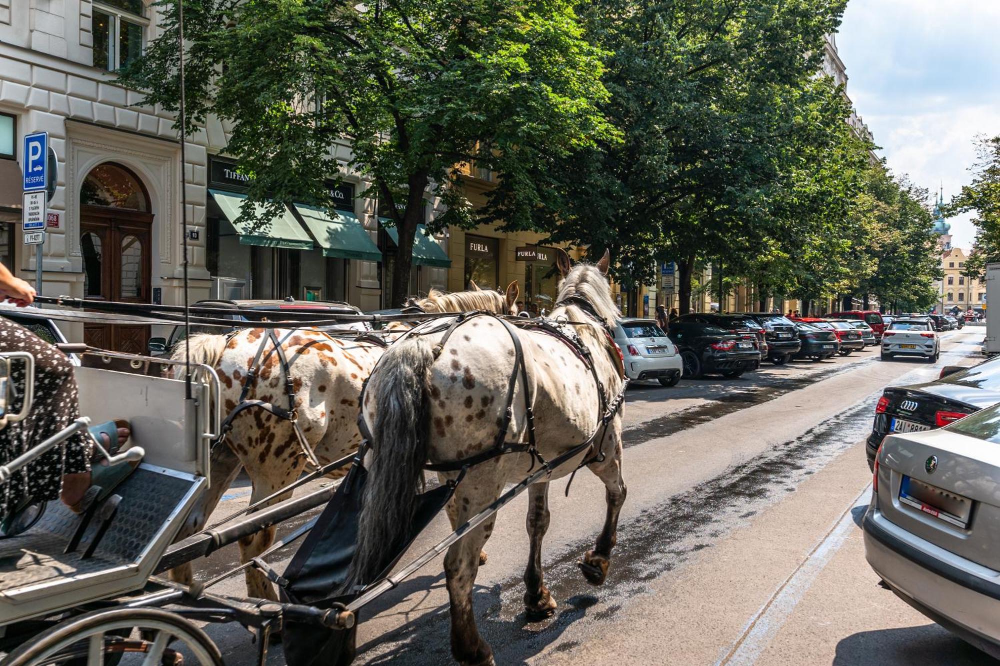 Wishlist Prague Residences - Old Town Dlouha Luaran gambar